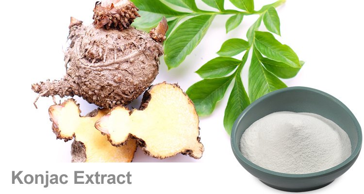  glucomannan- konjac-root-extract