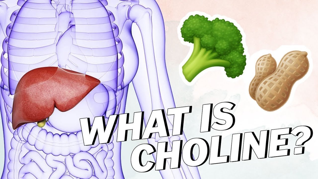 what is choline