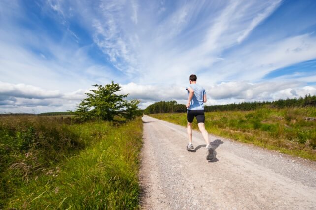 Best Probiotics for Men