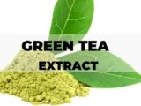Green Tea Extract: what it is, beneficial effects, side effects and more